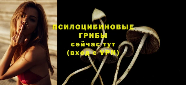 дживик Богородск