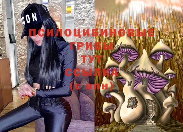 a pvp Аркадак
