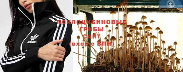 эйфоретик Черняховск